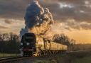 There is a vintage steam train offering old-world charm and scenic views of the Kent countryside just an hour's drive from south east London.