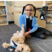 Hope Community School - school therapy dogs to help mental health in children