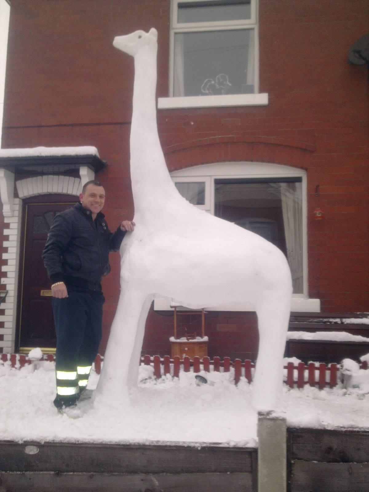 Tall story: snow giraffe spotted in garden!