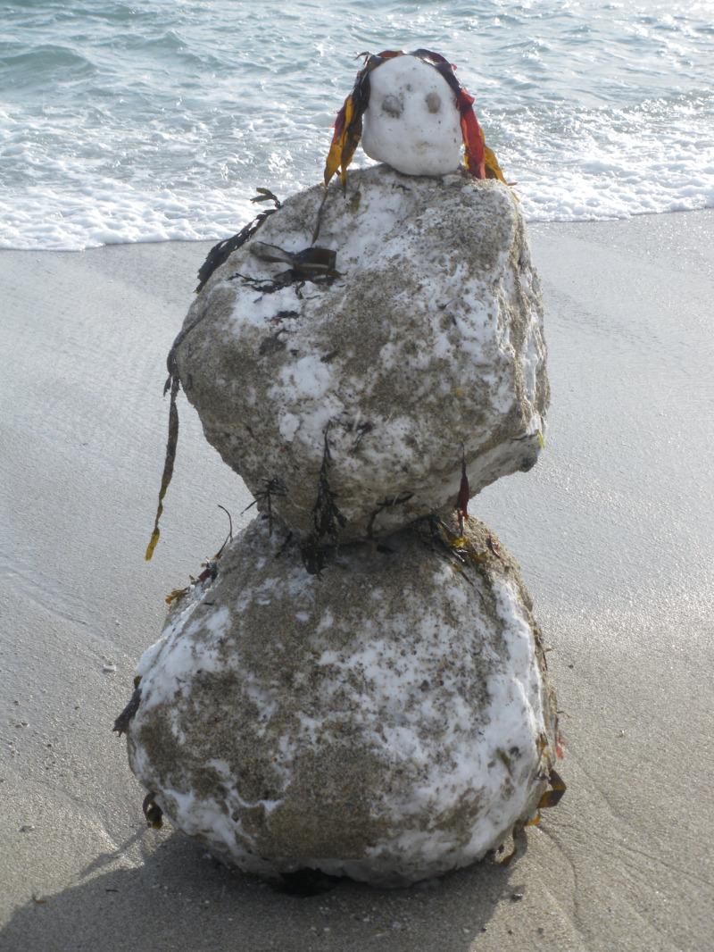 Monster from the deep: a snowmaid washed up in Falmouth