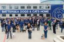 Animal magic: staff and volunteers at Battersea