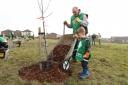 Tom Detmer and his son David plant one of 50 new trees at Wood End