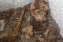 The landscape gardeners unearthed a skull and a thigh bone at a house in Riddlesdown Road, Purley