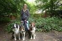 Nicola Milne with dogs Bob, Lulu and Roly, where cat Max was killed in an attack by an out of control rottweiller.