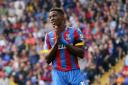 Give him a shout? Wilfried Zaha would give Crystal Palace a different outlook             SP81811