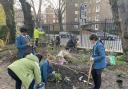 UCL students planting the Orion Garden