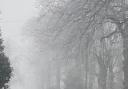 English weather plunges below zero degrees C - Lucy Rossen, Notre Dame School