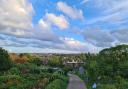 The Alexandra Palace allotments are open on July 2 under the National Garden Scheme.