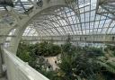 The view from the second floor of a greenhouse.