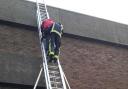 The unfortunate worker being helped down the ladder after getting stuck on the roof of his office building. Photo: London Fire Brigade