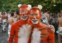 Raise big cash for big cats at London Zoo's Streak for Tigers