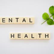 Mental Health among teenagers in the UK, Aoife Murphy, St Dominic's Sixth Form