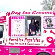 Meet the south London mum with eight dogs and an ice cream van just for pups