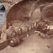 The Wine Society began 150 years ago as a bid to offload a consignment of Portuguese wine stored beneath the Kensington landmark