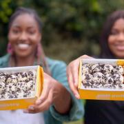 Sisters Marianne and Yossie Olaleye from Wood Green pitch their Nigerian doughballs on Channel 4's Aldi's Next Big Thing