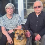 Billy with his new owners Sue and Bill Greenwood