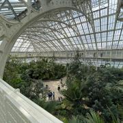 The view from the second floor of a greenhouse.