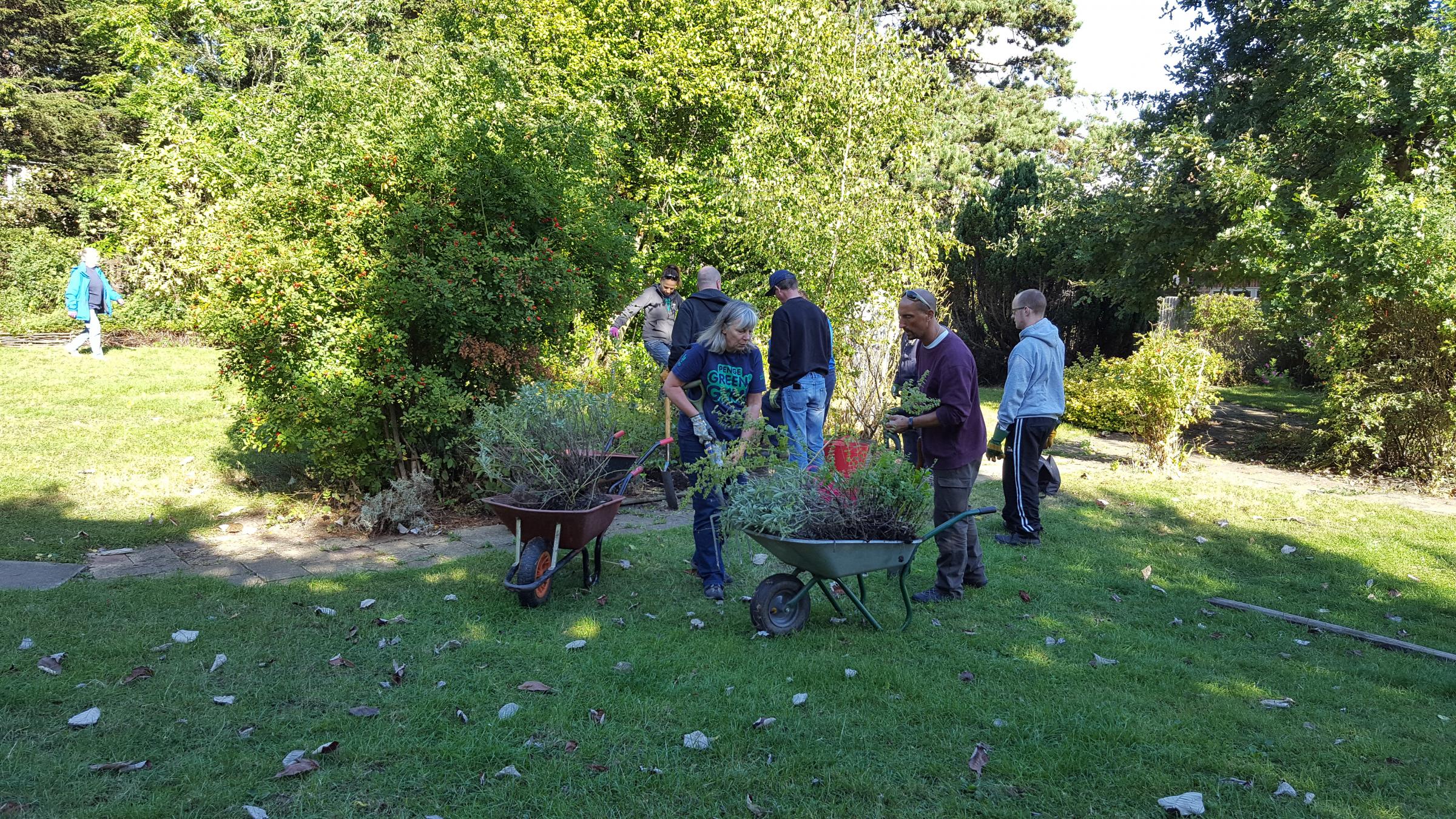 'Neglected' garden transformed by Penge volunteers wins award for innovation