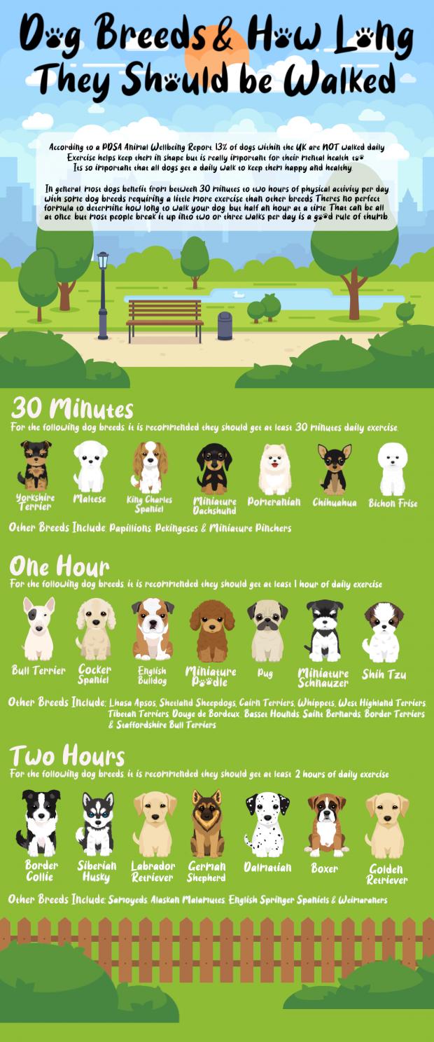 This Is Local London: A full list of advised walking times for dogs