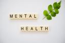 Mental Health among teenagers in the UK, Aoife Murphy, St Dominic's Sixth Form