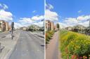 Mercury Gardens road reimagined with flowerbeds and cycle paths
