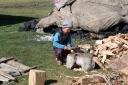 Small Kyrgyz child chopping wood.