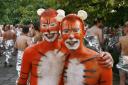 Raise big cash for big cats at London Zoo's Streak for Tigers