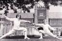 Fencing: ‘Physical Chess’  - Holly Goodchild, Newstead Wood School