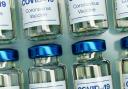 Coronavirus Vaccine Rollout