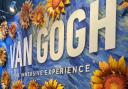 Immerse Yourself in The Life of Van Gogh- Abigail Hepper, Highamspark School