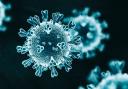 Omicron: New Coronavirus Variant