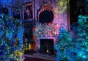 Christmas at Castle Howard- Saskia Johnson, Heathside School
