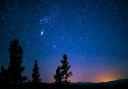 See the Lyrid Meteor Shower. (Canva)