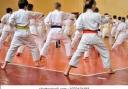 Karate - A Sport with a Purpose. (Erin Andrew, Ursuline High School)