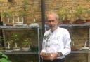 Steve Hooper with his prize-winning bonsai Plymouth pear. Picture credit: Ruth Pavey