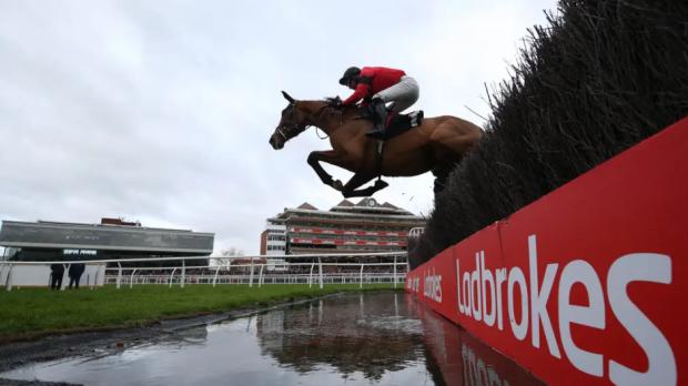 This Is Local London: Further watering at Cheltenham has been put on hold with conditions close to the target of good to soft for the start of the Festival. (PA)