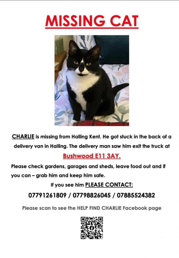 This Is Local London: The poster the Fishmans put up for missing cat Charlie