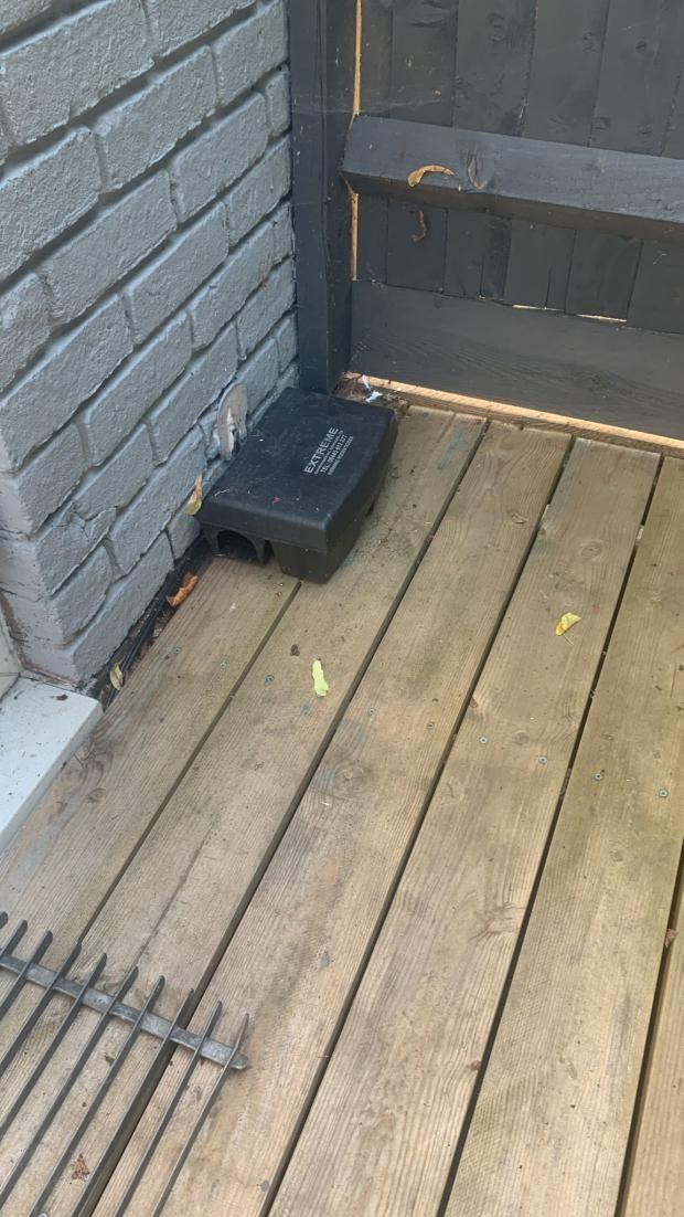 This Is Local London: The family claim they have had to put out rat traps themselves to handle their pest problem