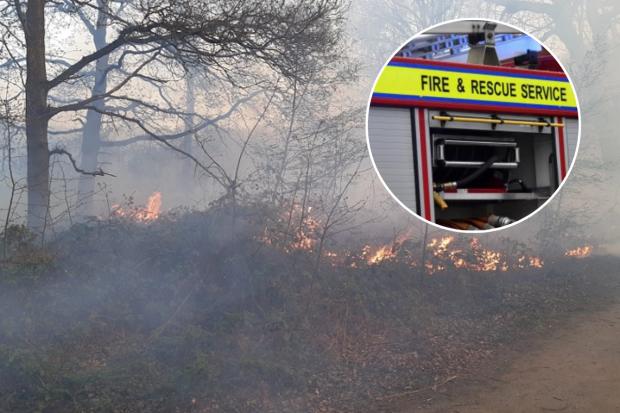 Stock images of a grass fire and fire and rescue service