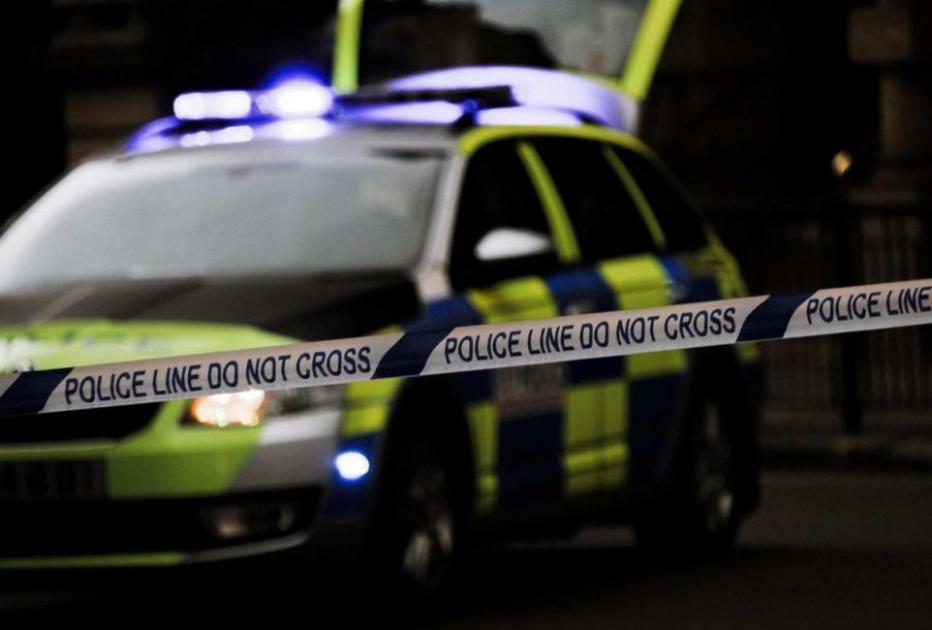 Strawberry Hill Twickenham station stabbing victim named