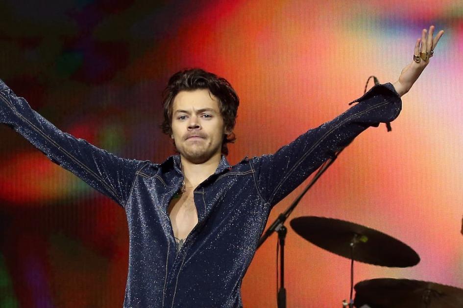 Woman accused of stalking Harry Styles in north London