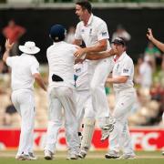 Key man: Kevin Pietersen celebrates after claiming the wicket of Michael Clarke