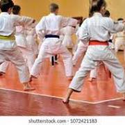 Karate - A Sport with a Purpose. (Erin Andrew, Ursuline High School)