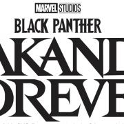 Black Panther: Wakanda Forever.  Zara Shikder, Parmiter's School