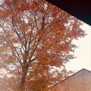London’s Autumn weather, Aleksandra Osial, Gumley House