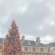 Big Christmas tree Covent Garden