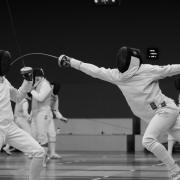 Insight as to how fencing is played