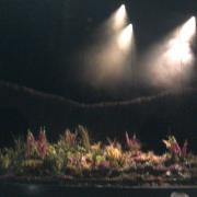 The stage at the play’s opening ; The Dorfman Theatre, National Theatre