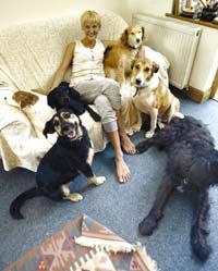 Pet rescue: Vesna Jones relaxes with her six dogs, found wandering the streets of Greece