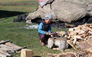 Small Kyrgyz child chopping wood.
